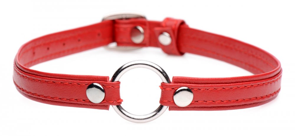 fiery pet leather choker red and silver ring3